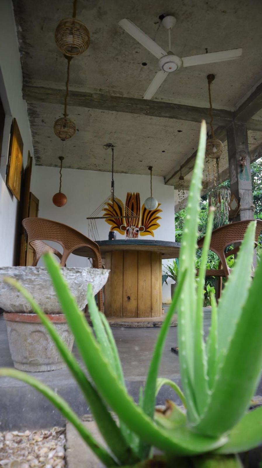 Julianu Otel Tangalle Dış mekan fotoğraf