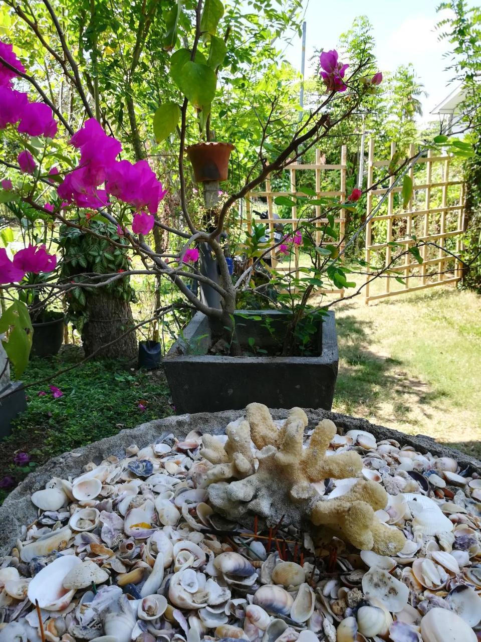 Julianu Otel Tangalle Dış mekan fotoğraf