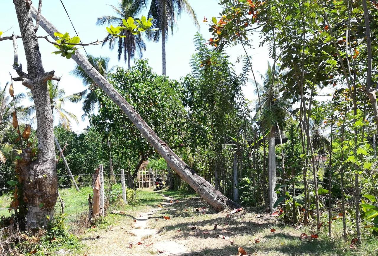 Julianu Otel Tangalle Dış mekan fotoğraf